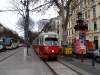 4516_023.jpg