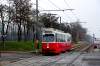 MPV_2254.jpg